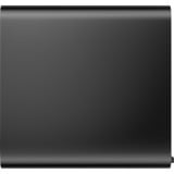 HP Z2 Mini G9 Workstation (8T1W1EA), Mini-PC schwarz, Windows 11 Pro