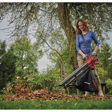 EINHELL Power X-Change Akku-Laubsauger VENTURRO 18/210, 18Volt, Laubsauger/Laubbläser rot/schwarz, ohne Akku und Ladegerät