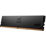 Team Group DIMM 128 GB DDR5-6000 (8x 16 GB) Octa-Kit ECC, Arbeitsspeicher schwarz, CTCMD5128G6000HC32AOC01, T-CREATE MASTER, Registred, INTEL XMP