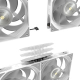 RAIJINTEK Cyclops Lite 240, Wasserkühlung weiß