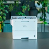 Brother HL-L6410DN, Laserdrucker grau, USB, LAN, Duplex (Druck)