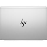 HP EliteBook 6 G1a (AD3J6ET), Notebook silber, AMD Ryzen 7 250, AMD Radeon 780M, 32 GB DDR5, 1 TB (1 TB SSD), Windows 11 Pro