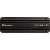 SilverStone SST-MS12, Laufwerksgehäuse schwarz