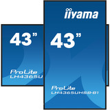 iiyama ProLite LH4365UHSB-B1, Public Display schwarz, UltraHD/4K, IPS, WiFi, Fernbedienung