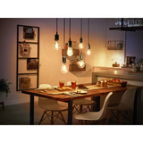 Philips HUE White E27 Filament Globe G93 550 Lumen, LED-Lampe 