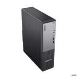 Lenovo ThinkCentre neo 55s Gen 6 (13G0000EGE), PC-System schwarz, Windows 11 Pro