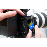 ADATA Premier Extreme SDXC SD8.0 1 TB, Speicherkarte schwarz, SD8.0 Express, UHS-I U3, Class 10, V30