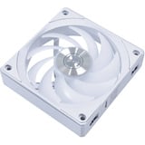 Lian Li UNI FAN CL120 Wireless, Gehäuselüfter weiß, 3er Pack inkl. Controller, 120 mm