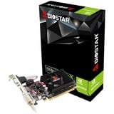 Biostar GeForce 210, Grafikkarte passiv gekühlt, HDMI, DVI, VGA