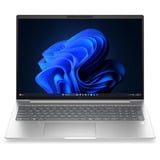 HP EliteBook 6 G2a (E02FYET), Notebook silber, AMD Ryzen 7 PRO 250, AMD Radeon 780M, 32 GB LPDDR5X, 1 TB (1 TB SSD), Windows 11 Pro