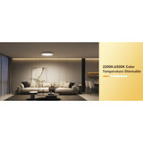 Govee 30cm RGBWW + RGBIC Round Smart Ceiling Light, LED-Leuchte 