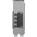 PNY NVIDIA RTX PRO 2000 Blackwell Generation 16GB SB, Grafikkarte Bulk