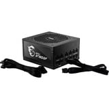 MSI MPG A750GF 750W, PC-Netzteil schwarz, 6x PCIe, Kabel-Management, 750 Watt