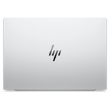 HP EliteBook 8 G2a (DL9U4ET), Notebook silber, AMD Ryzen AI 5 435, AMD Radeon 840M, 16 GB LPDDR5X, 512 GB (512 GB SSD), Windows 11 Pro
