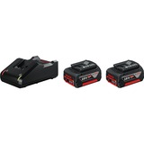 Bosch Starter-Set 18V (2x GBA 18V 4,0Ah + GAL 18V-40 Professional), Ladegerät schwarz, 2x Akku + Ladegerät, AMPShare Alliance
