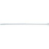 fischer BN 4,8 x 280, Kabelbinder transparent, 100 Stück
