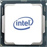 Xeon® E-2124G, Prozessor