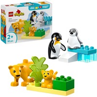 LEGO 10442 DUPLO Town Wildtier-Familien: Pinguine und Löwen, Konstruktionsspielzeug 