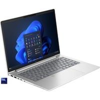 HP EliteBook 640 G11 (9C0G5EA), Notebook silber, Intel® Core™ Ultra 7 155U, Intel® Graphics, 32 GB DDR5, 1 TB (1 TB SSD), Windows 11 Pro
