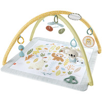Fisher-Price Fisher-Price Simply Senses Sensorische Erlebnisdecke, Spielbogen/Decke