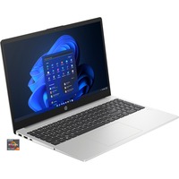 HP 255 G10 (9G838ES), Notebook silber, AMD Ryzen 7 7730U, AMD Radeon Graphics, 16 GB DDR4, 512 GB (512 GB SSD), Windows 11 Home