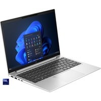 HP EliteBook 830 G11 (9G0K3ET), Notebook silber, Intel® Core™ Ultra 5 125U, Intel® Graphics, 16 GB LPDDR5X, 512 GB (512 GB SSD), Windows 11 Pro