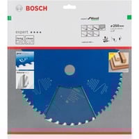Bosch EXPERT Wood Kreissägeblatt, Ø 250mm, 40Z Bohrung 30mm, für Kapp- & Gehrungssägen